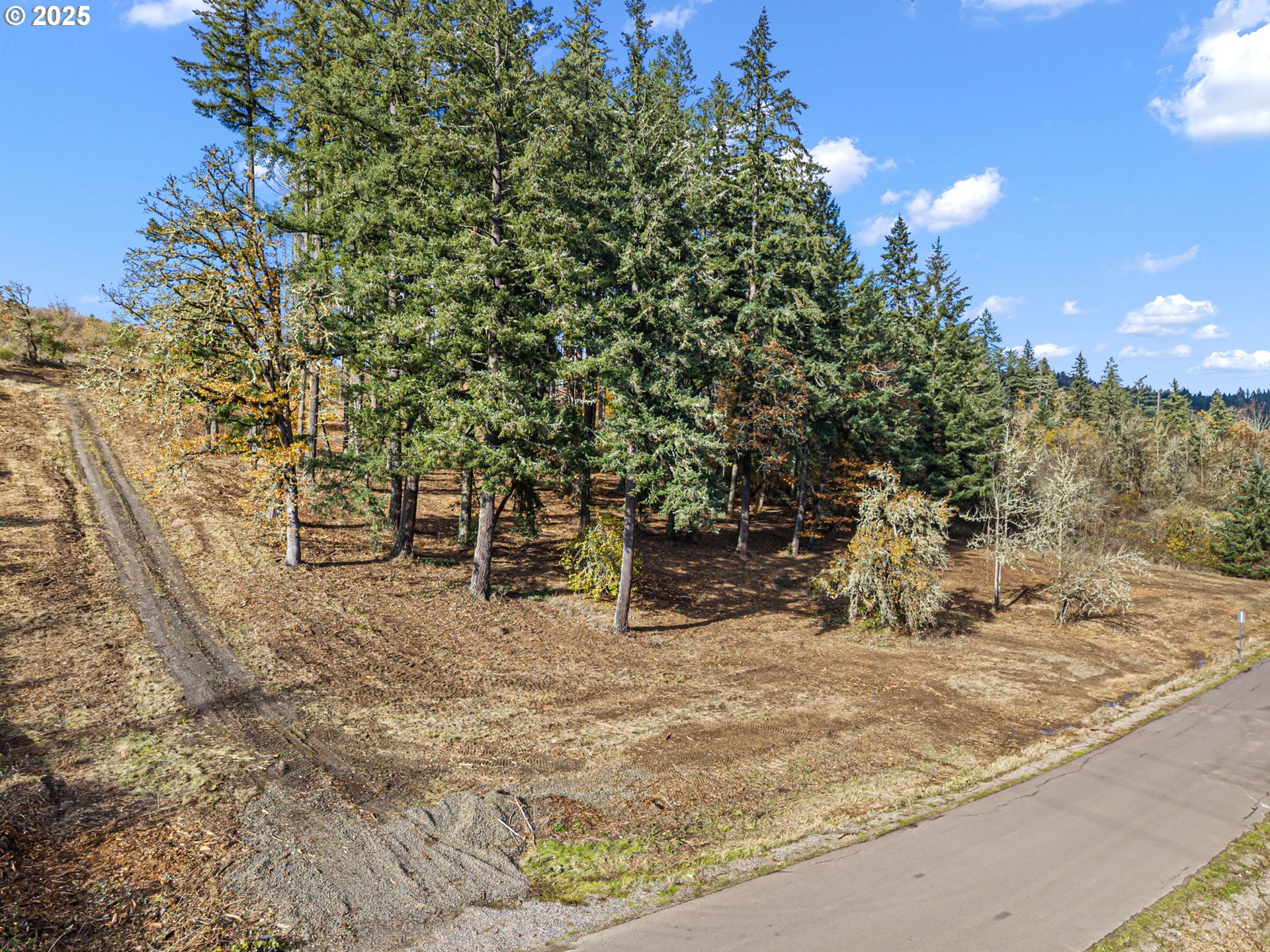 0 Gonyea Road Eugene, OR 97405 - Photo 22 of 37 a view of a outdoor space with lots of trees