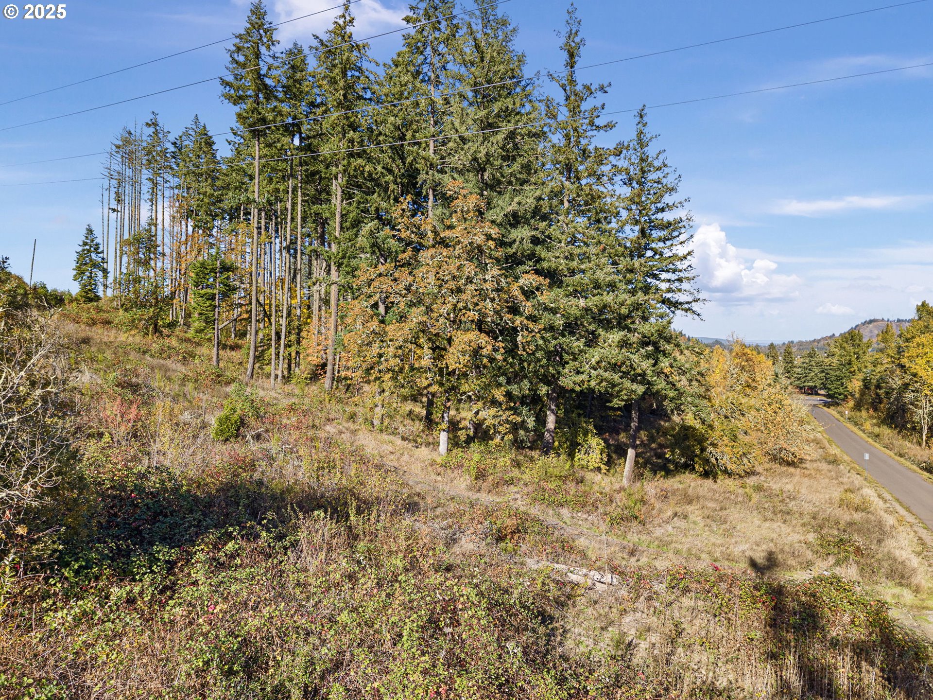 0 Gonyea Road Eugene, OR 97405 - Photo 24 of 37 a view of a yard with trees