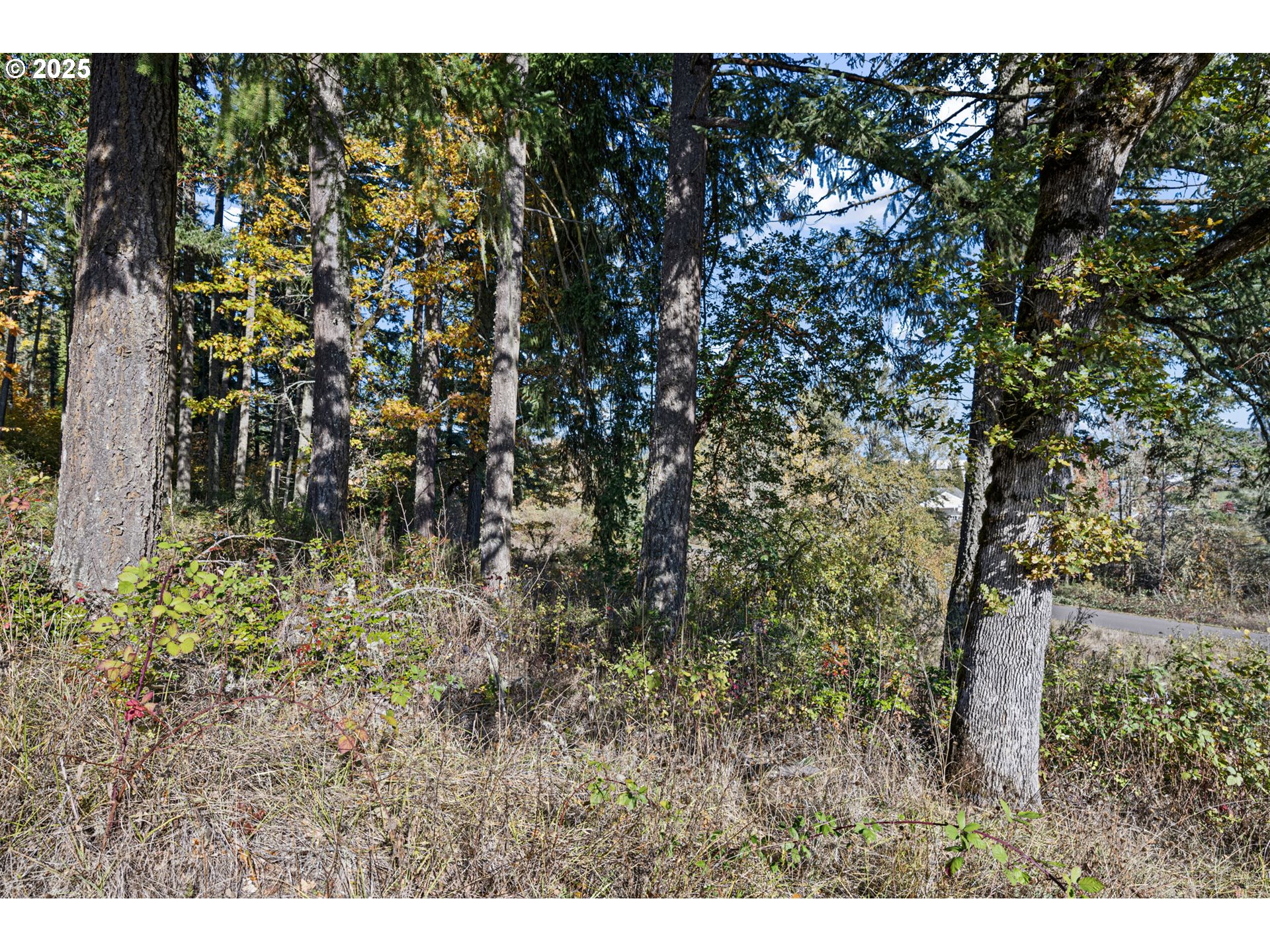 0 Gonyea Road Eugene, OR 97405 - Photo 25 of 37 a view of outdoor space and green space