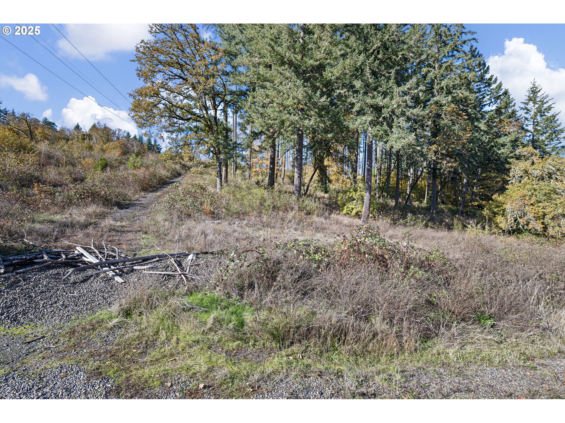 0 Gonyea Road Eugene, OR 97405 - Photo 26 of 37 a view of a yard with a tree