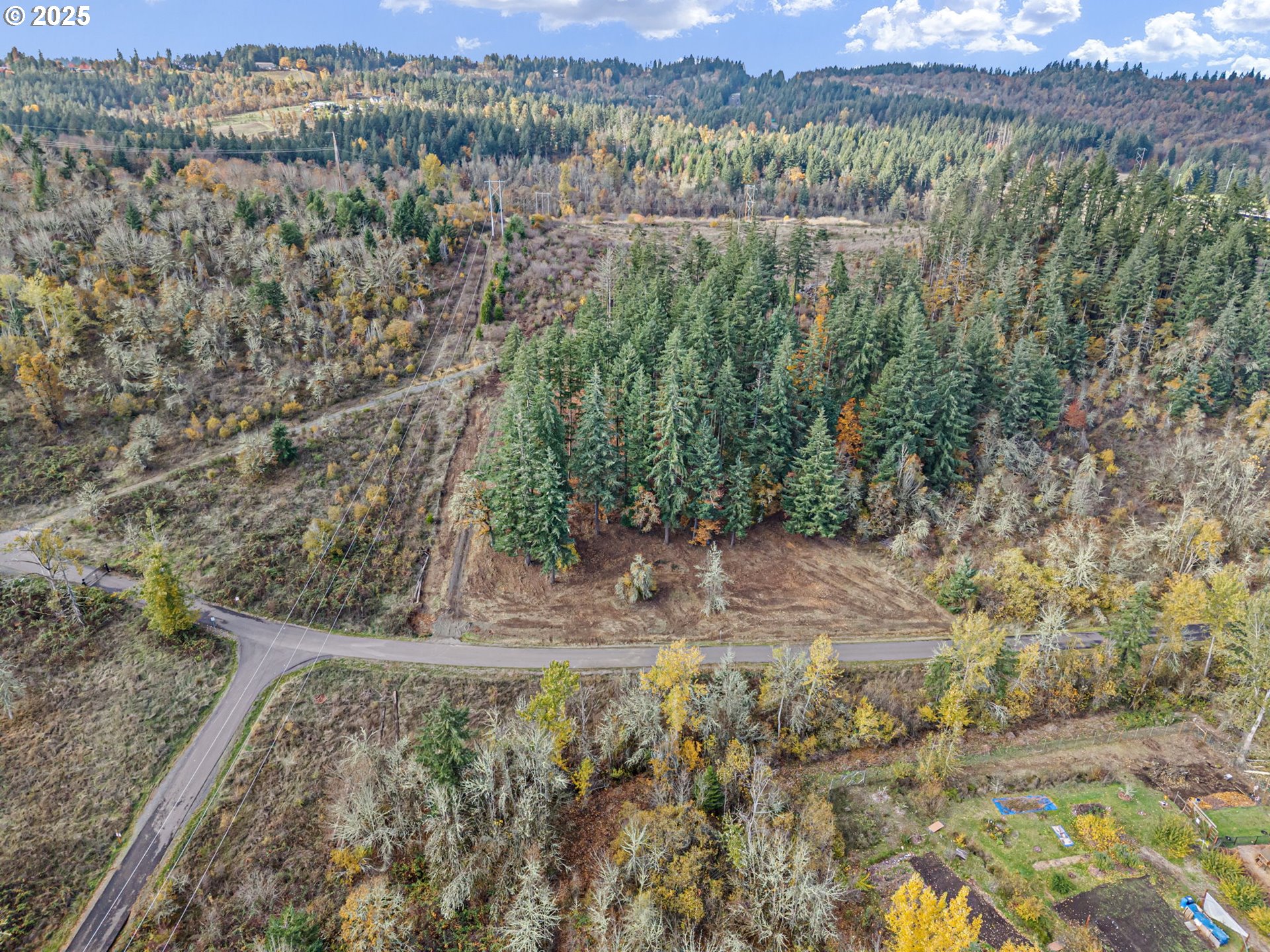 0 Gonyea Road Eugene, OR 97405 - Photo 30 of 37 a view of a yard with a tree