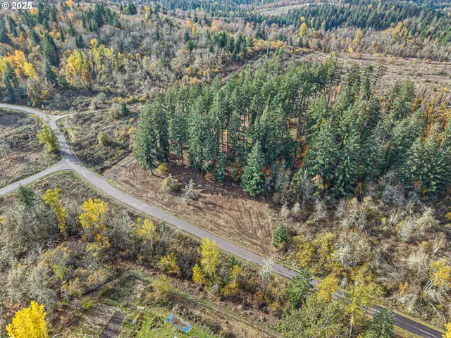 a view of a city with mountains in the background