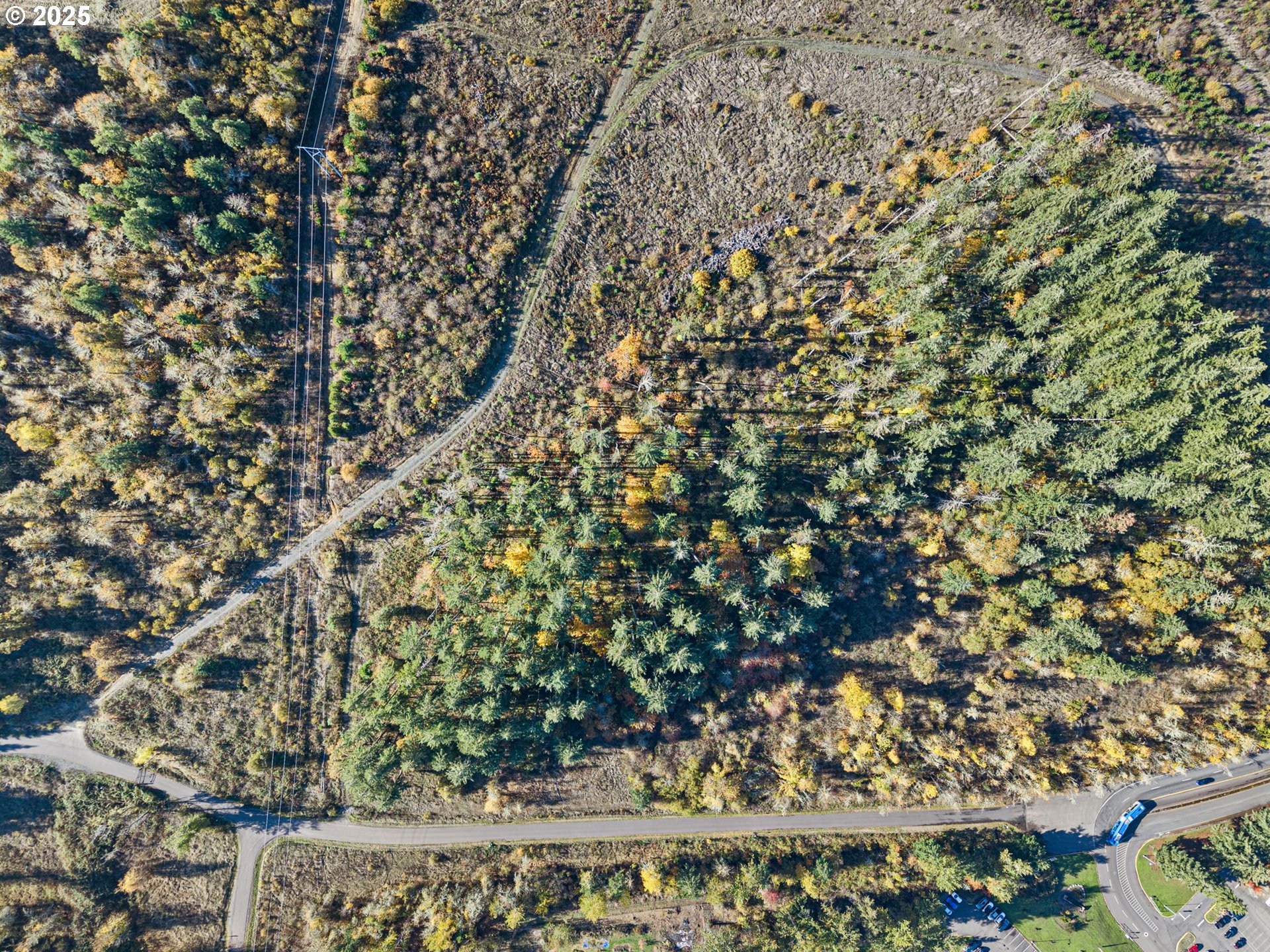 0 Gonyea Road Eugene, OR 97405 - Photo 33 of 37