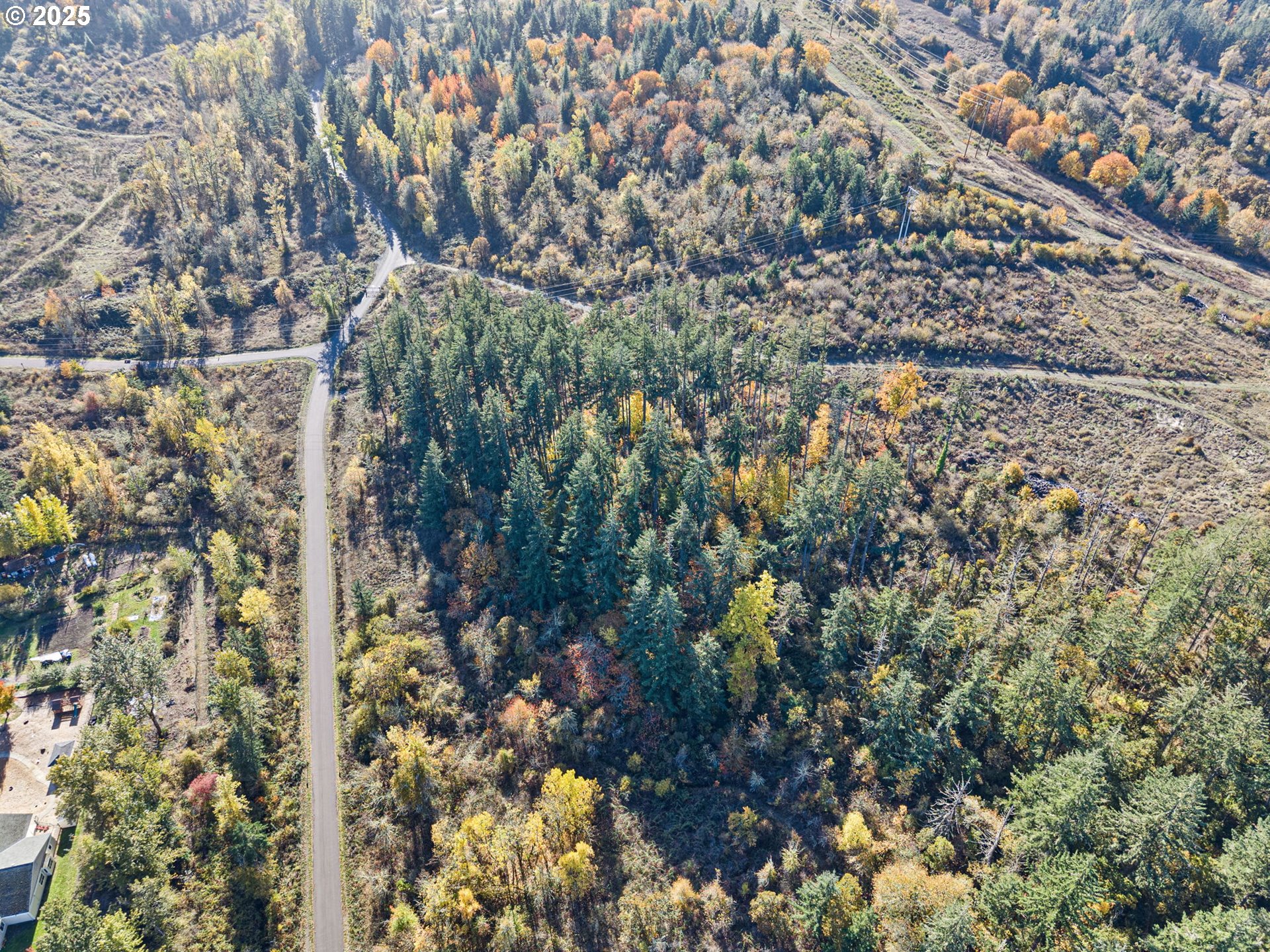 0 Gonyea Road Eugene, OR 97405 - Photo 5 of 37