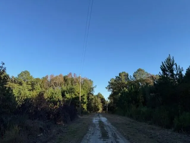 $60,000 | D Shady Grove Road, Bowman, SC 29018