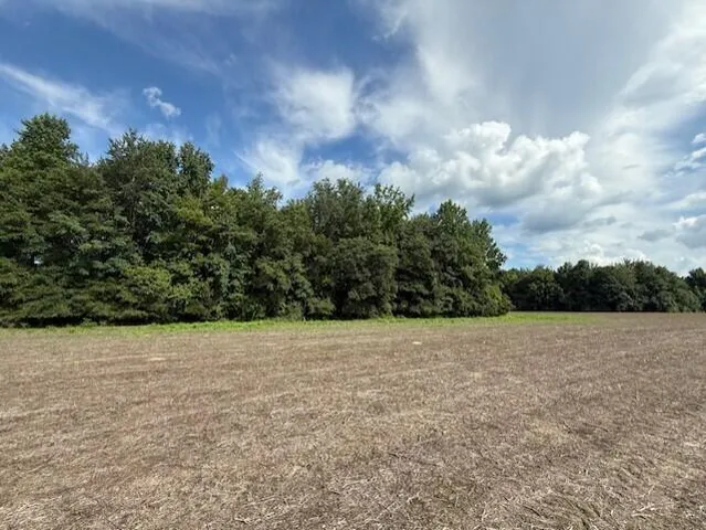 $60,000 | D Shady Grove Road, Bowman, SC 29018