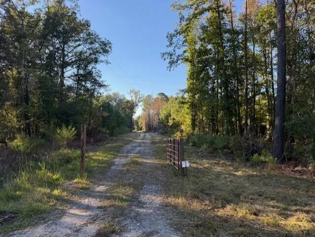 $60,000 | D Shady Grove Road, Bowman, SC 29018