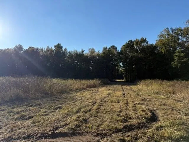 $60,000 | D Shady Grove Road, Bowman, SC 29018