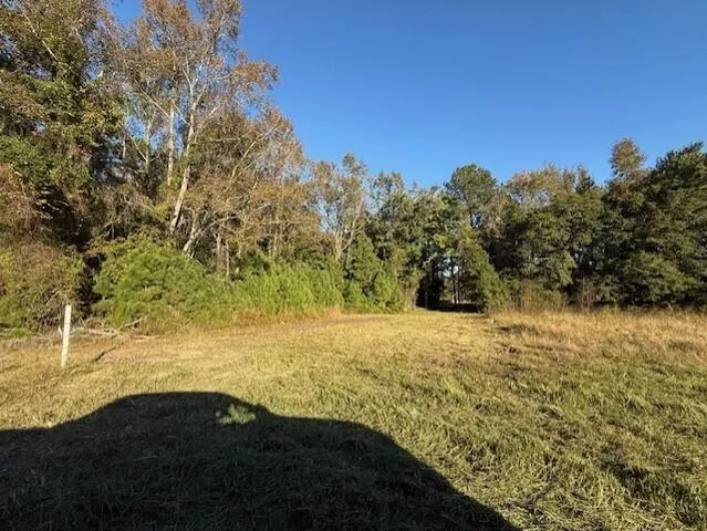 $60,000 | D Shady Grove Road, Bowman, SC 29018