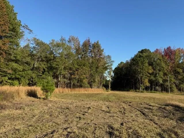 $60,000 | D Shady Grove Road, Bowman, SC 29018