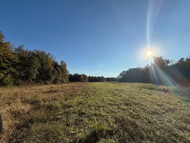 $60,000 | D Shady Grove Road, Bowman, SC 29018