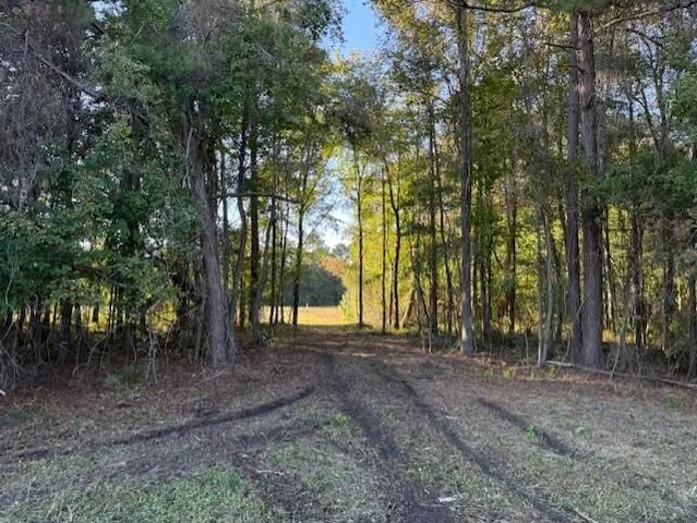 $60,000 | D Shady Grove Road, Bowman, SC 29018