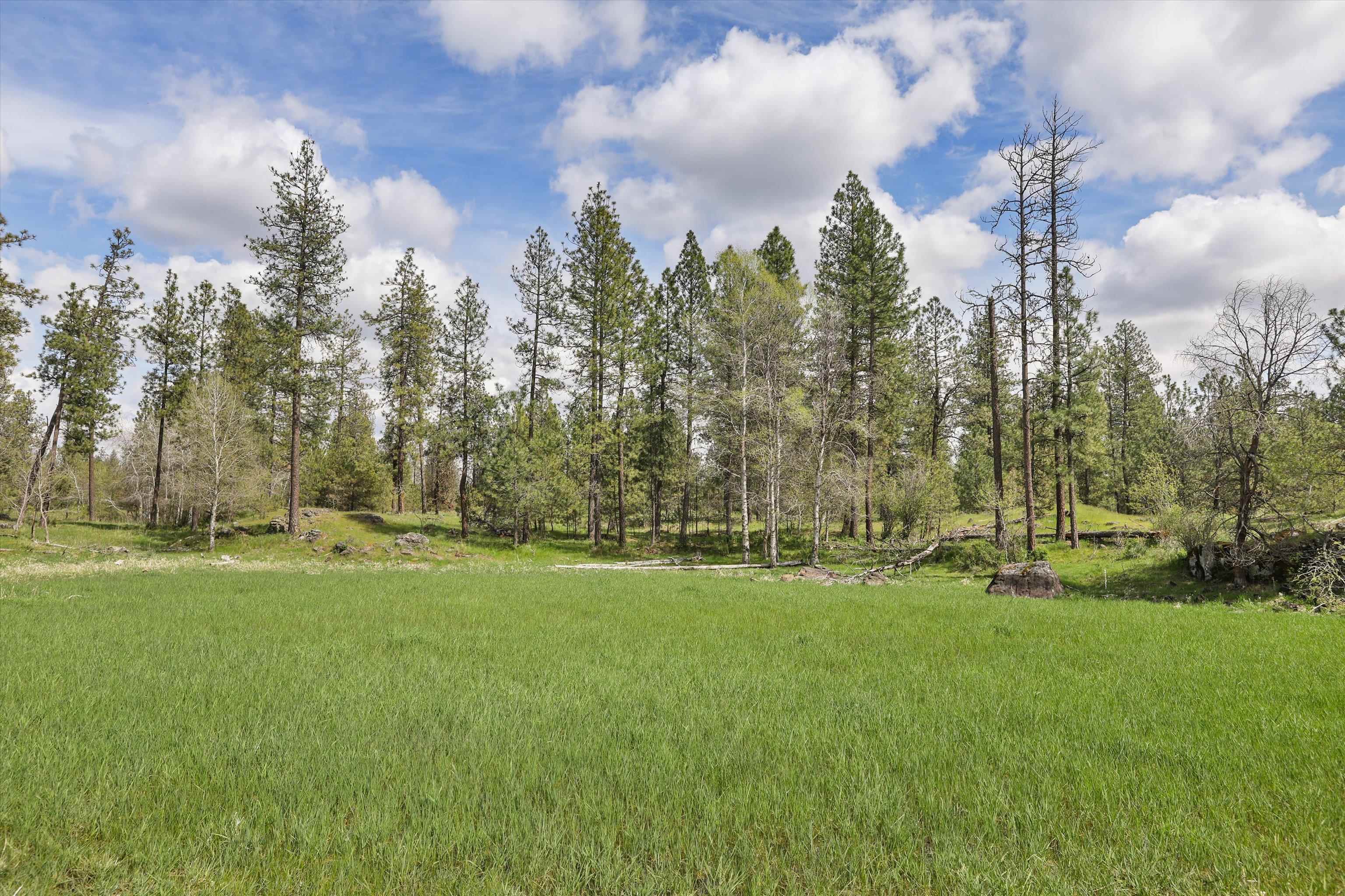Nka South Malloy Prairie Road, Unit PARCEL A 03032 9048 Cheney, WA 99004 - Photo 7 of 8