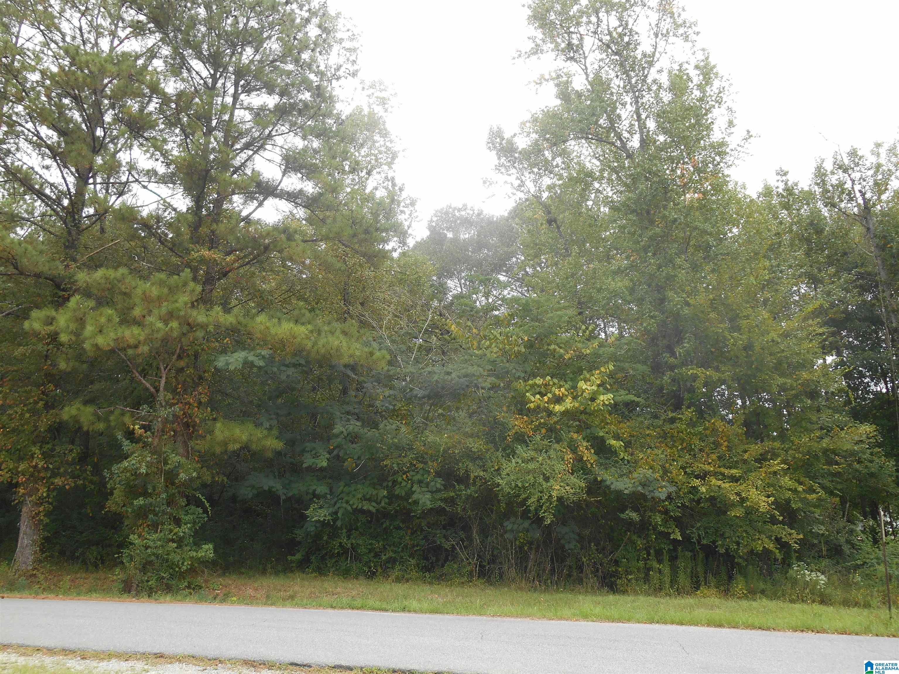 Industrial Road West Columbiana, AL 35051 - Photo 2 of 2