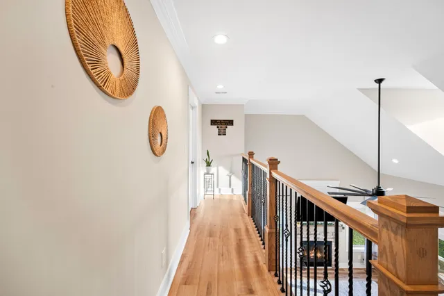 a view of a yard with plants