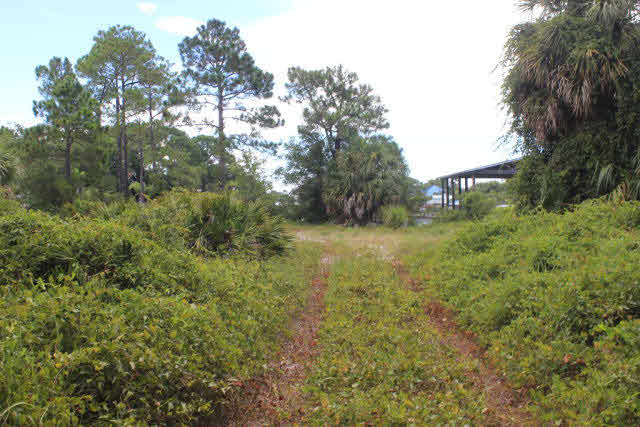 161 Highway 161 Orange Beach, AL 36561 - Photo 3 of 7