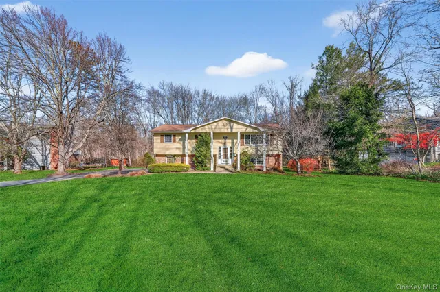 a view of a big yard with plants and large trees