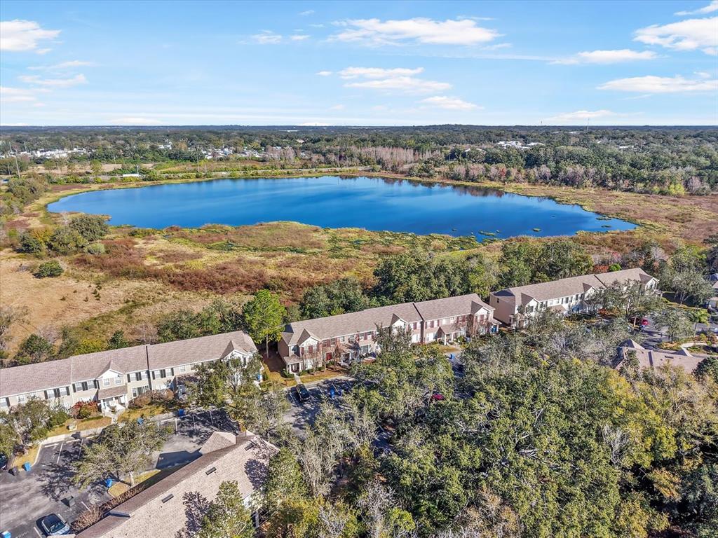 11008 Black Swan Court Seffner, FL 33584 - Photo 29 of 32 a view of an ocean with city