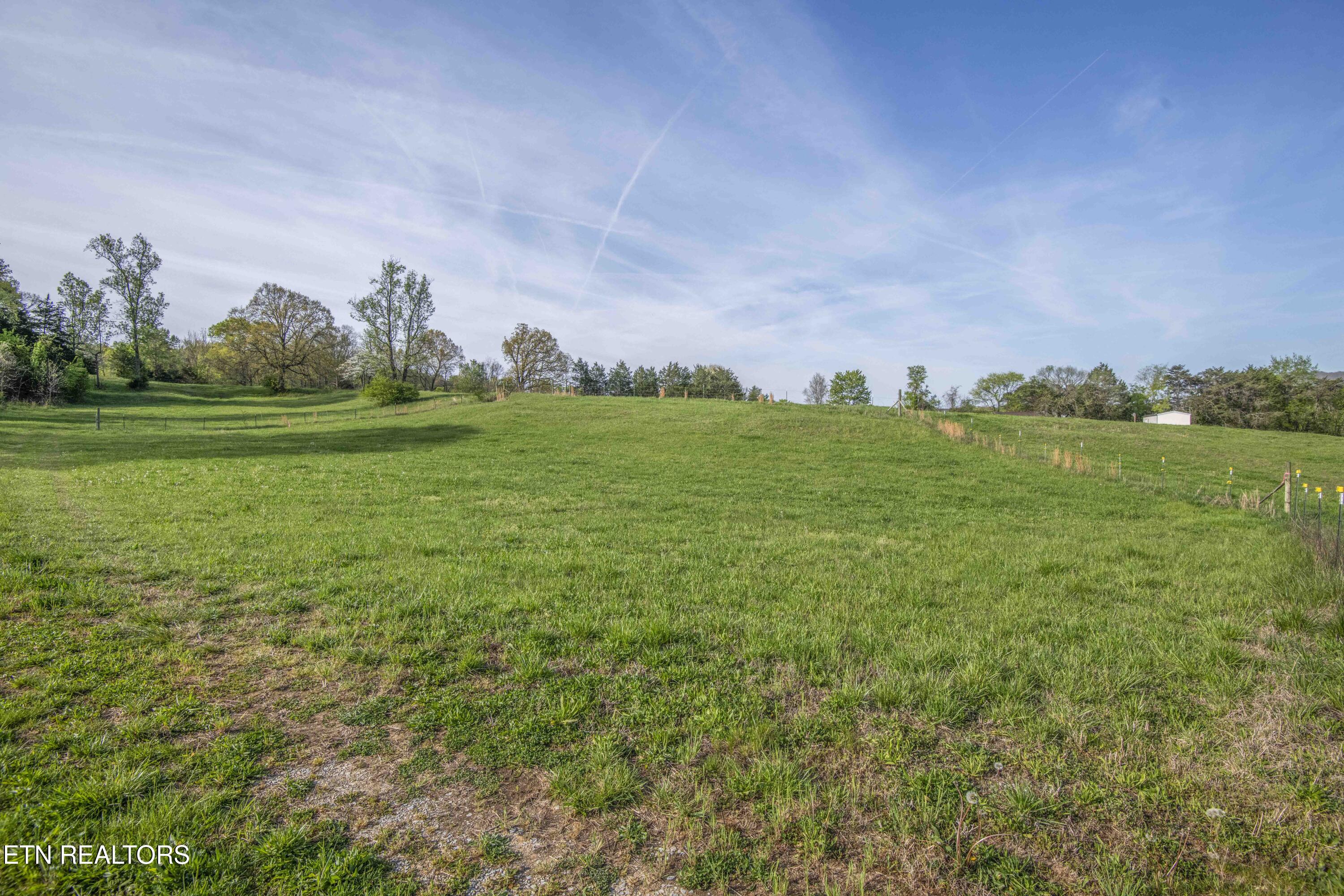 Lot 2 Richland Road Blaine, TN 37709 - Photo 4 of 31 yard 5_1