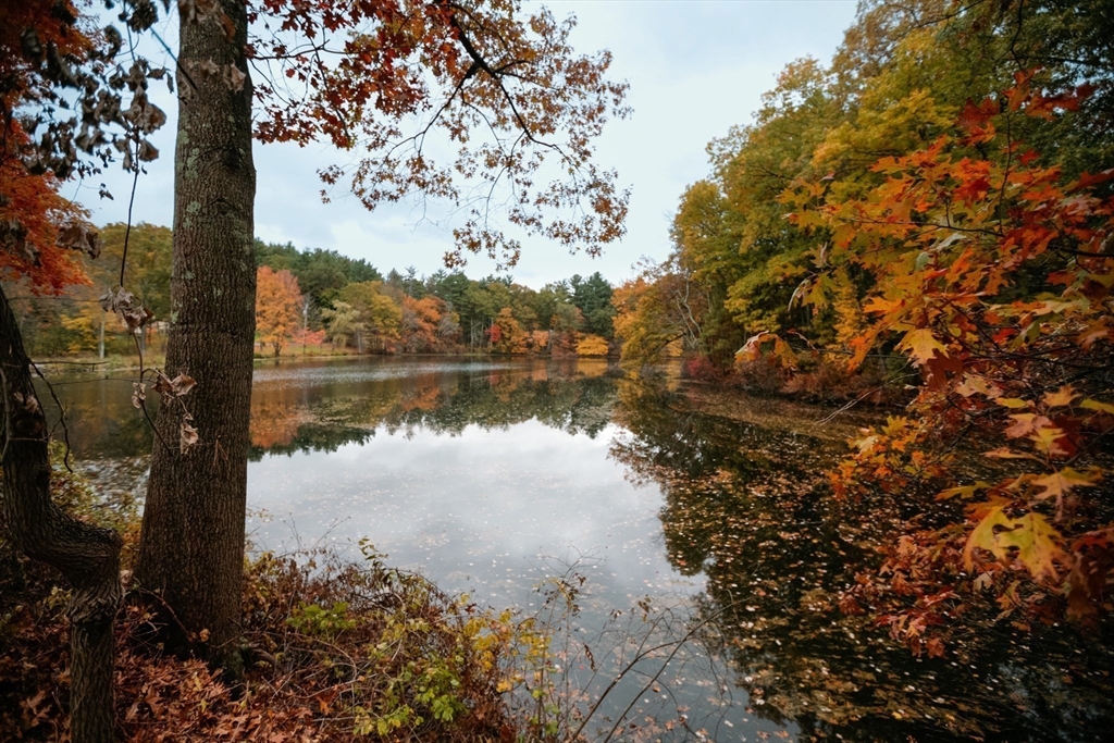 557 Dutton Road, Unit 2 Sudbury, MA 01776 - Photo 4 of 31