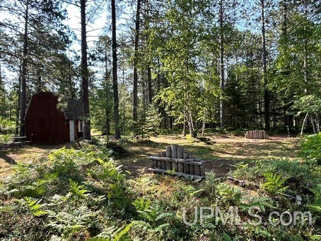 Lot 62 Little Rice Lake Road Lake Linden, MI 49945 - Photo 39 of 52 Gallery Image 39