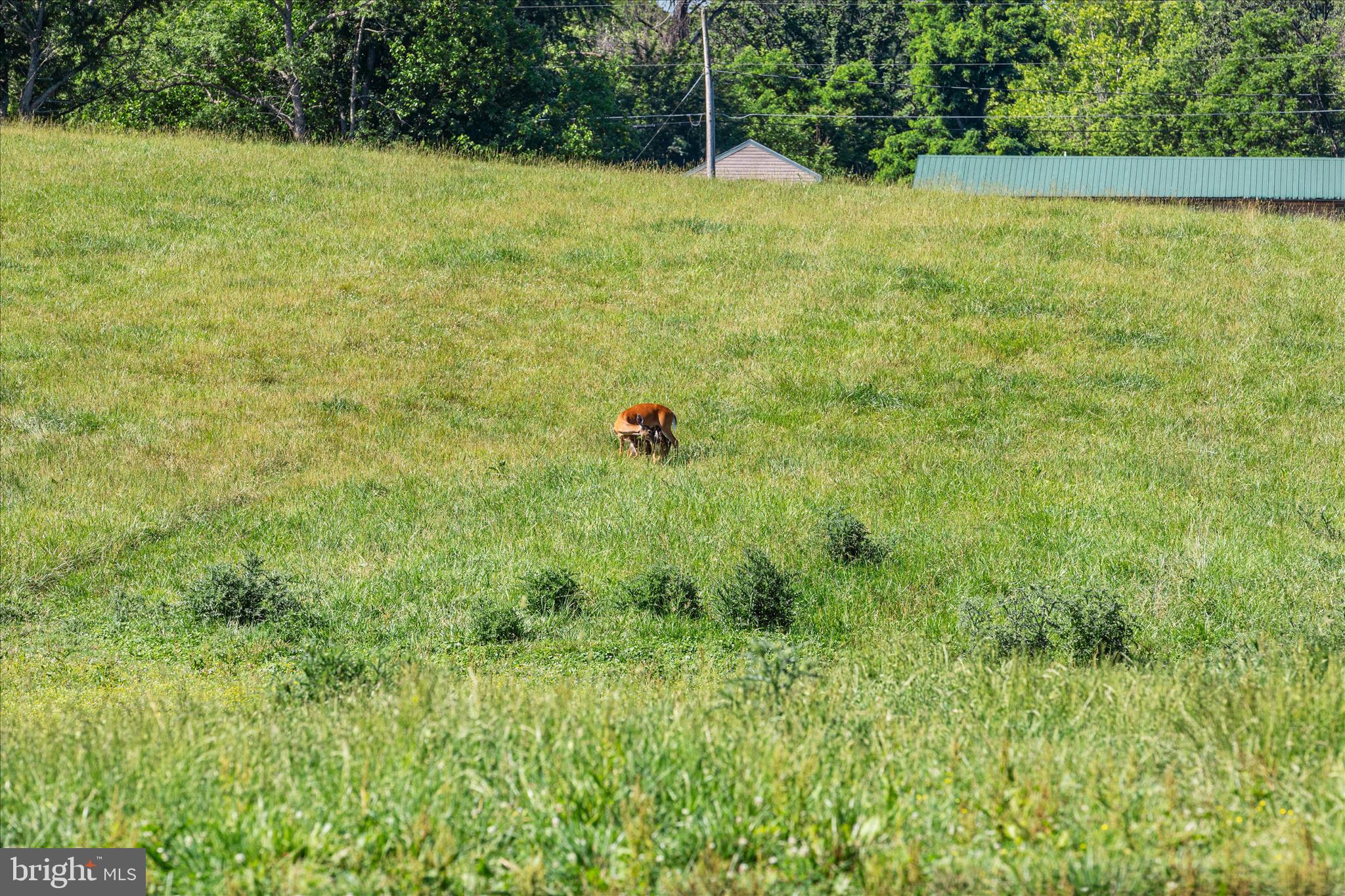 82 Pond Road Charles Town, WV 25414 - Photo 24 of 92 BY1A5575_82 Pond Rd - Absolute Altitude - 6 - 2026