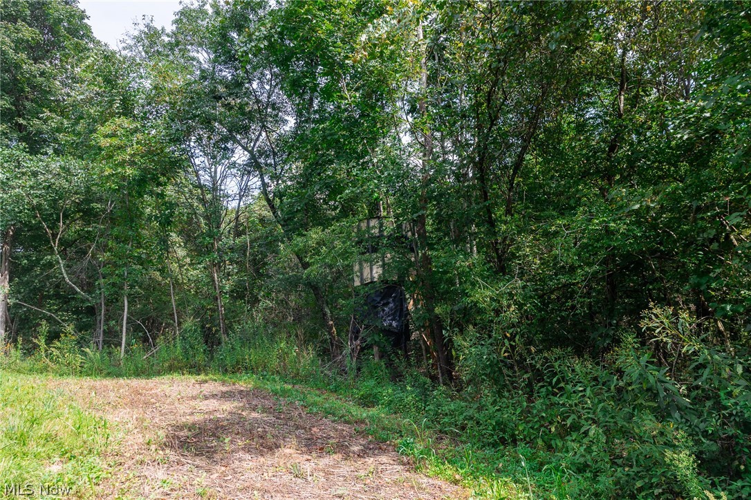 37500 Goose Run Road Dexter City, OH 45727 - Photo 17 of 50 Gallery Image 17