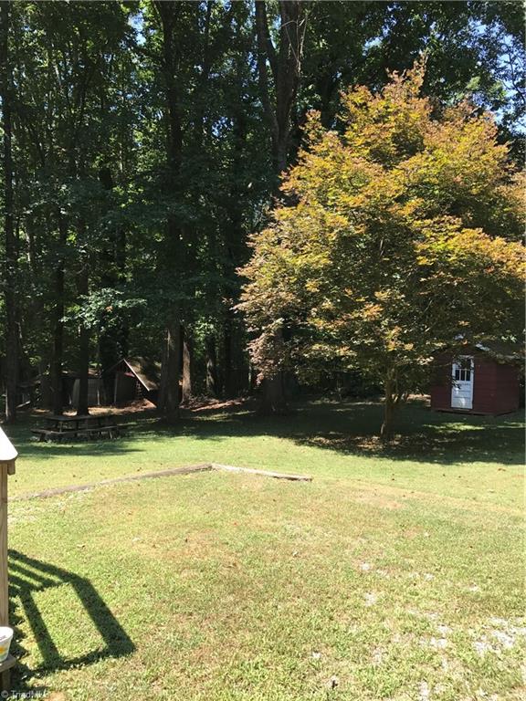 7517 Everson Road Summerfield, NC 27358 - Photo 3 of 15 Backyard