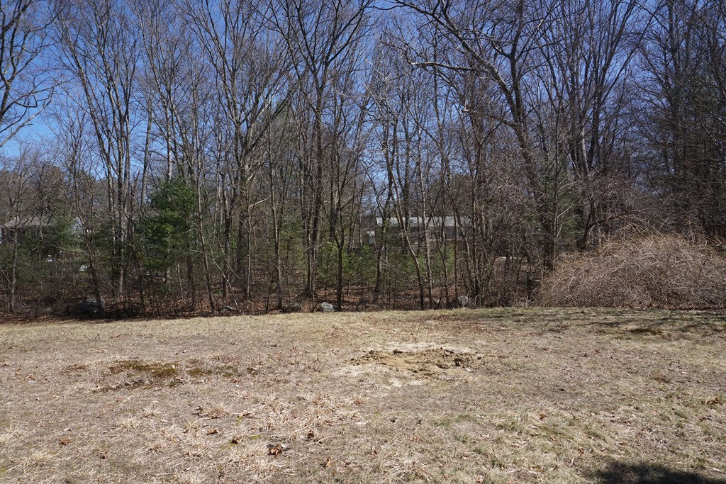 9 Wabash Road Wilmington, MA 01887 - Photo 17 of 17 Gallery Image 17