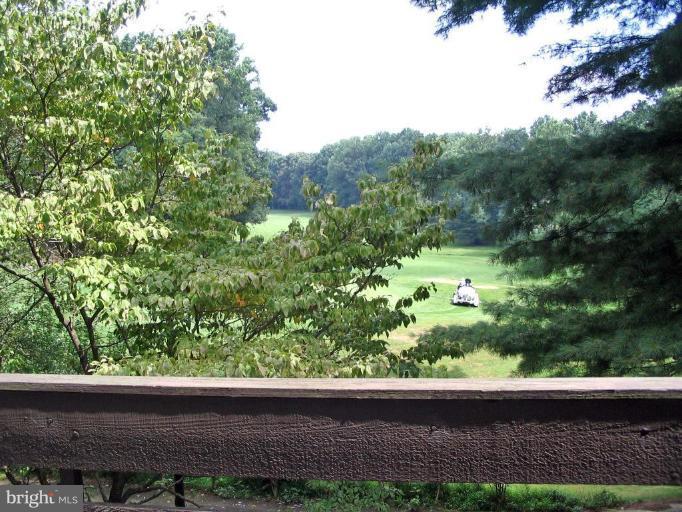 11636 Ivystone Court, Unit 2/002 Reston, VA 20191 - Photo 2 of 15 Wooded View / Acreage