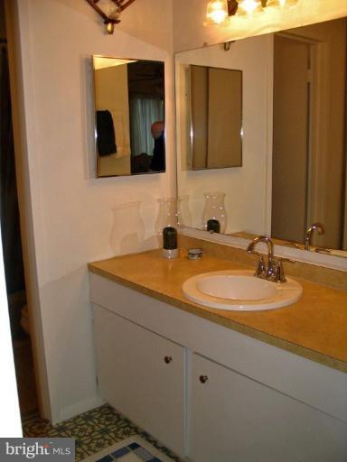 11636 Ivystone Court, Unit 2/002 Reston, VA 20191 - Photo 13 of 15 Master Bath