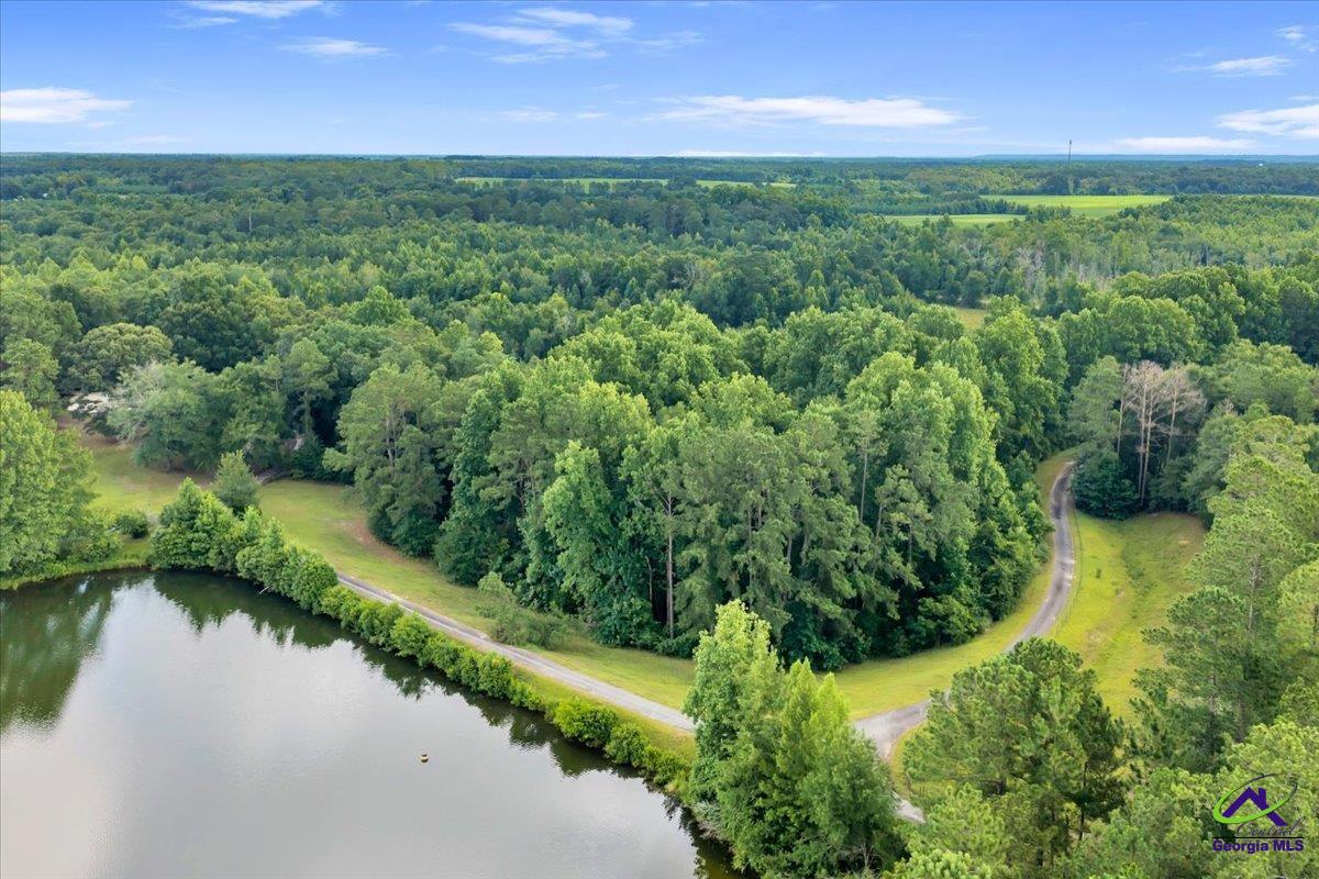 1060 Cooks Mill Road Oglethorpe, GA 31068 - Photo 82 of 100 Gallery Image 82