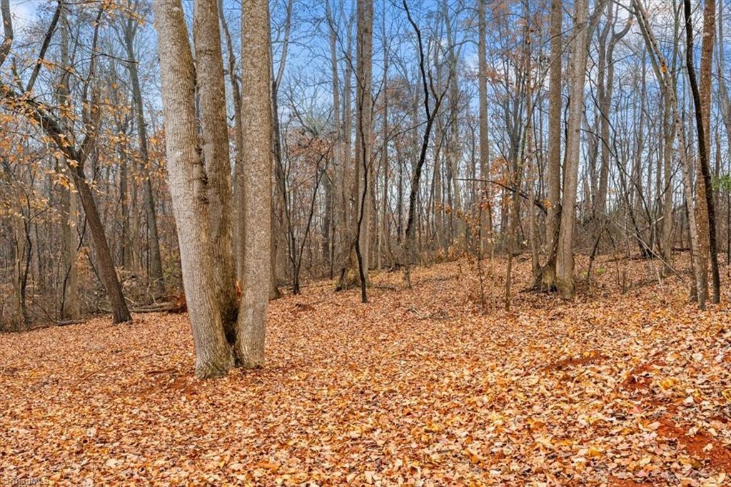 2953 Little Creek Road Thomasville, NC 27360 - Photo 40 of 40