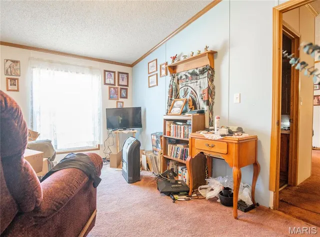 $160,000 | 5633 Missouri T, Puxico, MO 63960