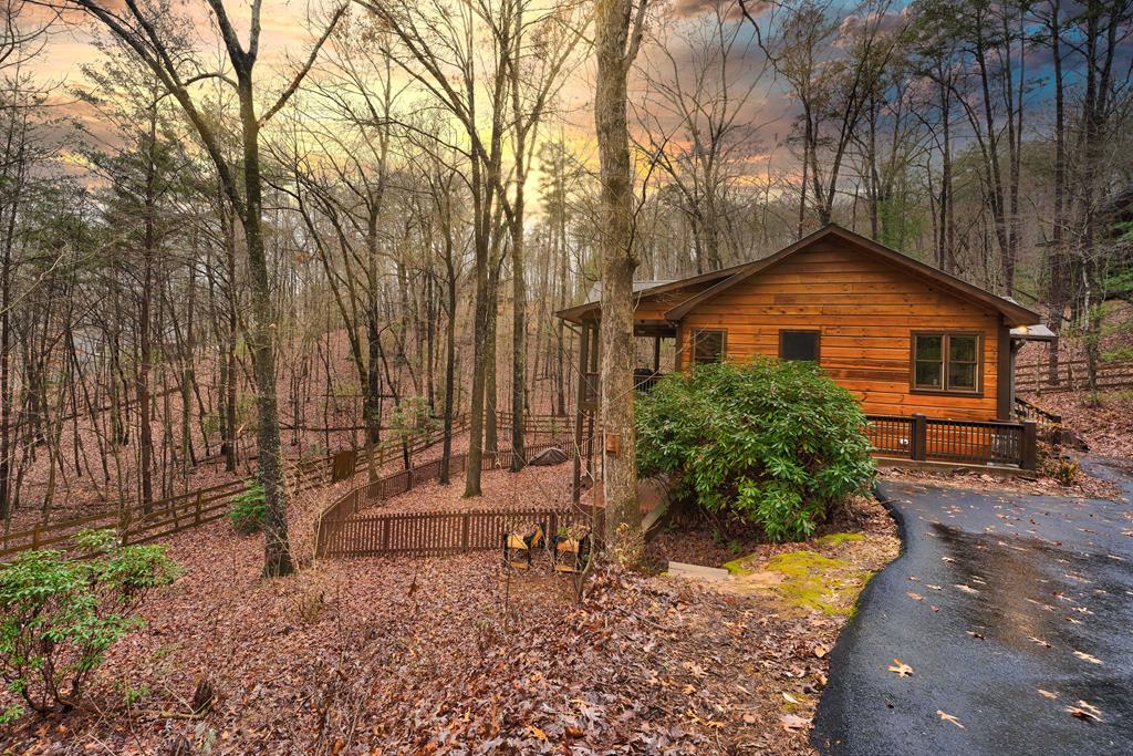 1070 Maggie Chapman Road Blue Ridge, GA 30513 - Photo 47 of 47 Gallery Image 47