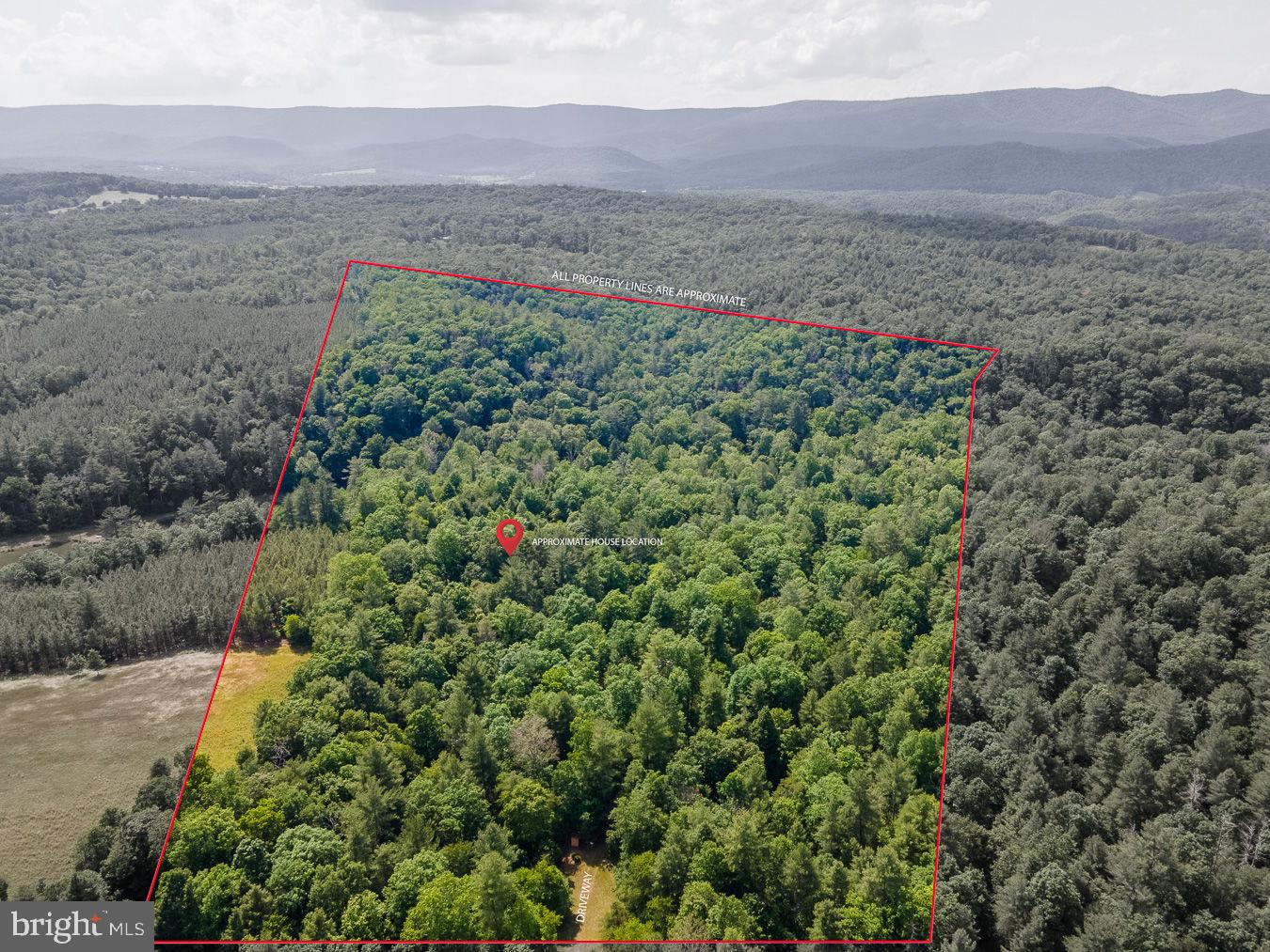 1499 Buggy Ridge Road Mount Jackson, VA 22842 - Photo 2 of 39 aerial view of 52 aces