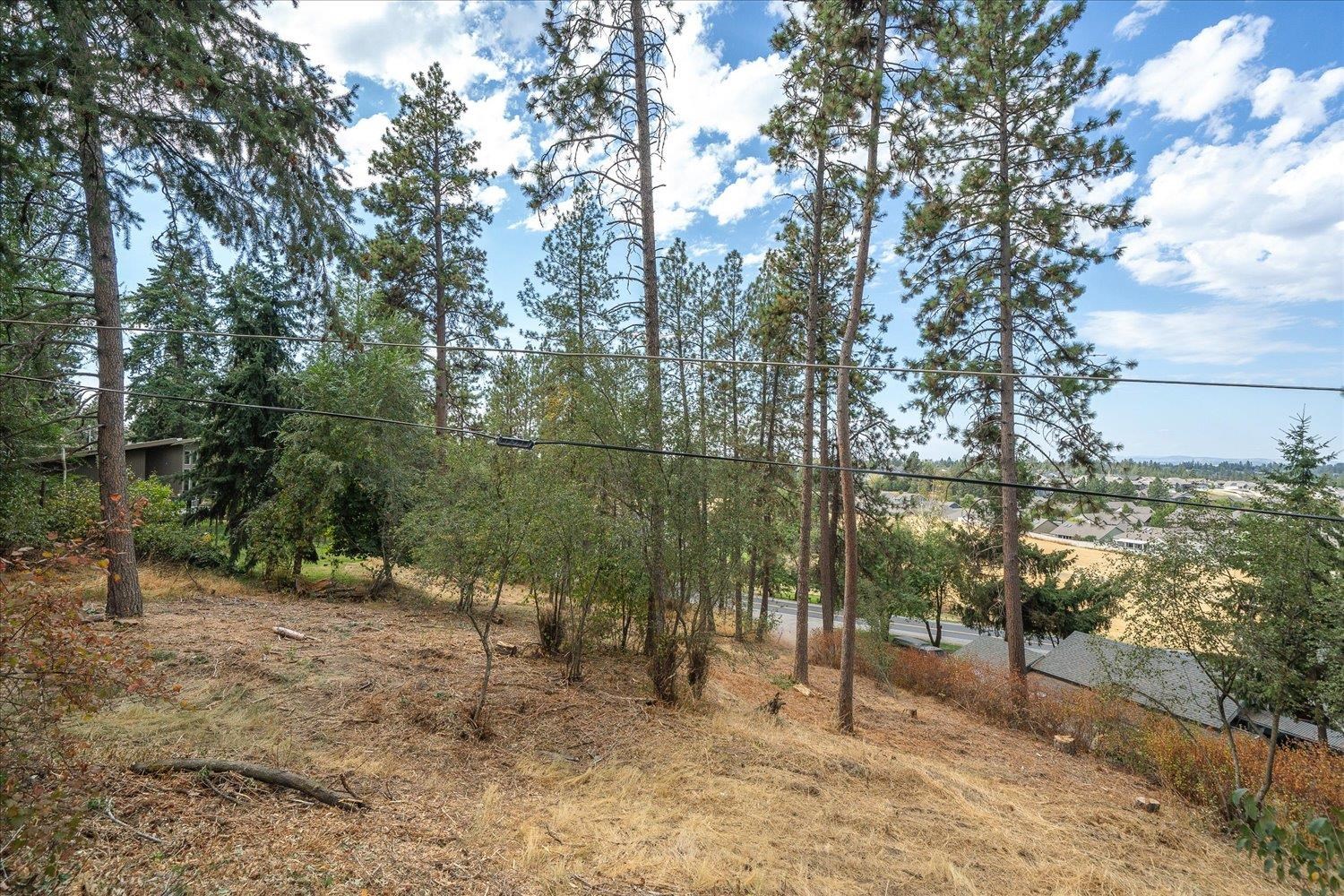 5409 East Corkery Road Spokane, WA 99223 - Photo 45 of 50 Gallery Image 45