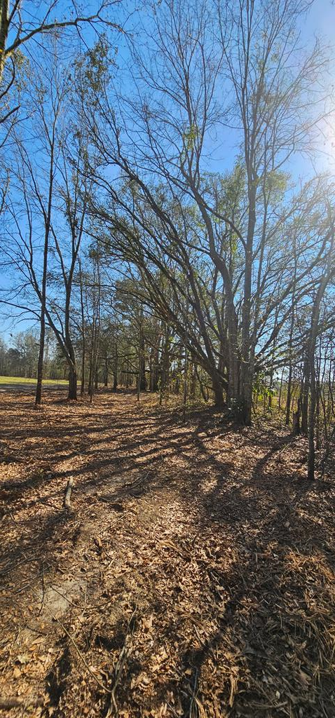 4.9-acres Grady Garner Road Slocomb, AL 36375 - Photo 33 of 70