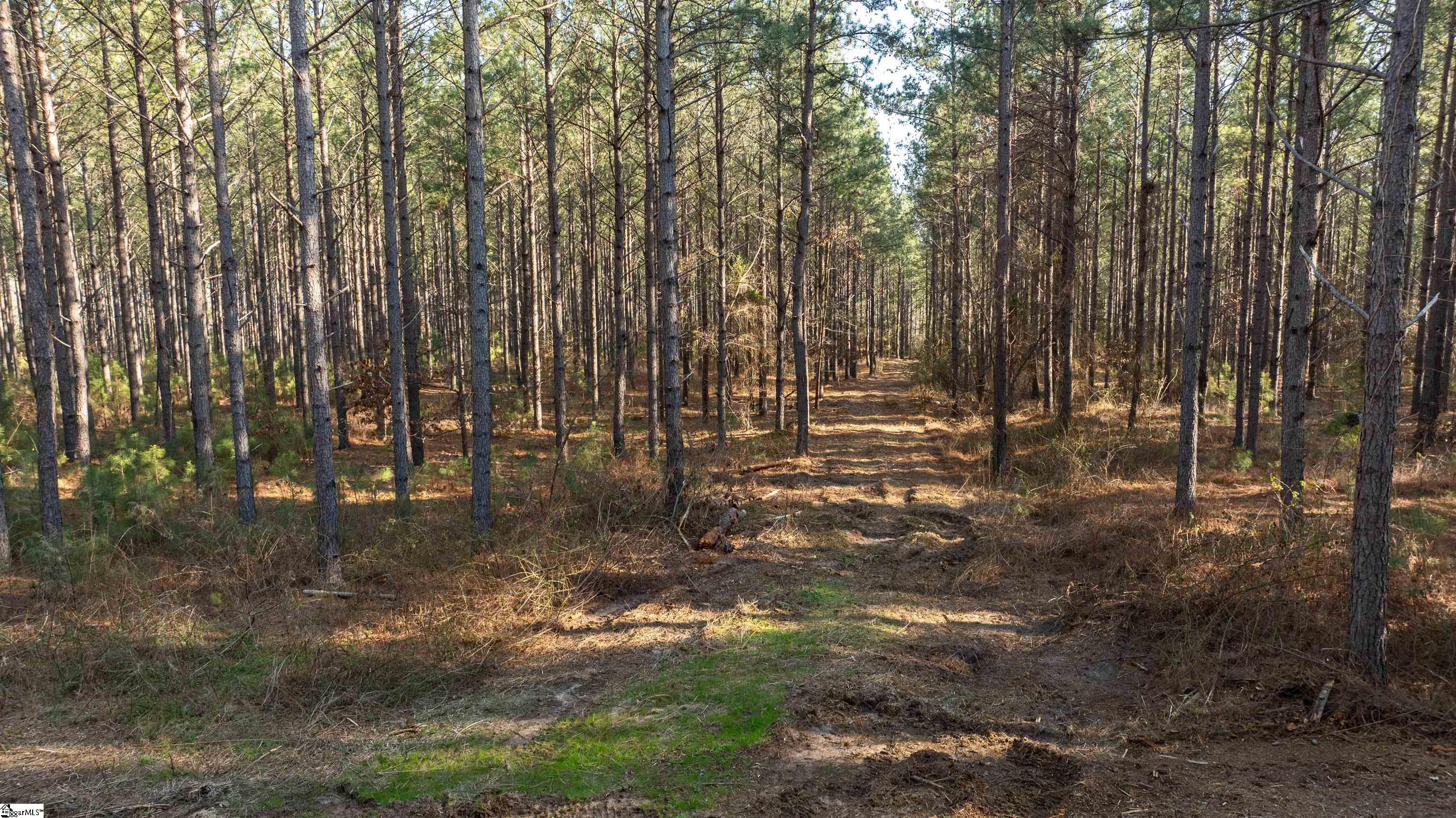 2 Gault Creek Road Jonesville, SC 29353 - Photo 9 of 12 Gallery Image 9