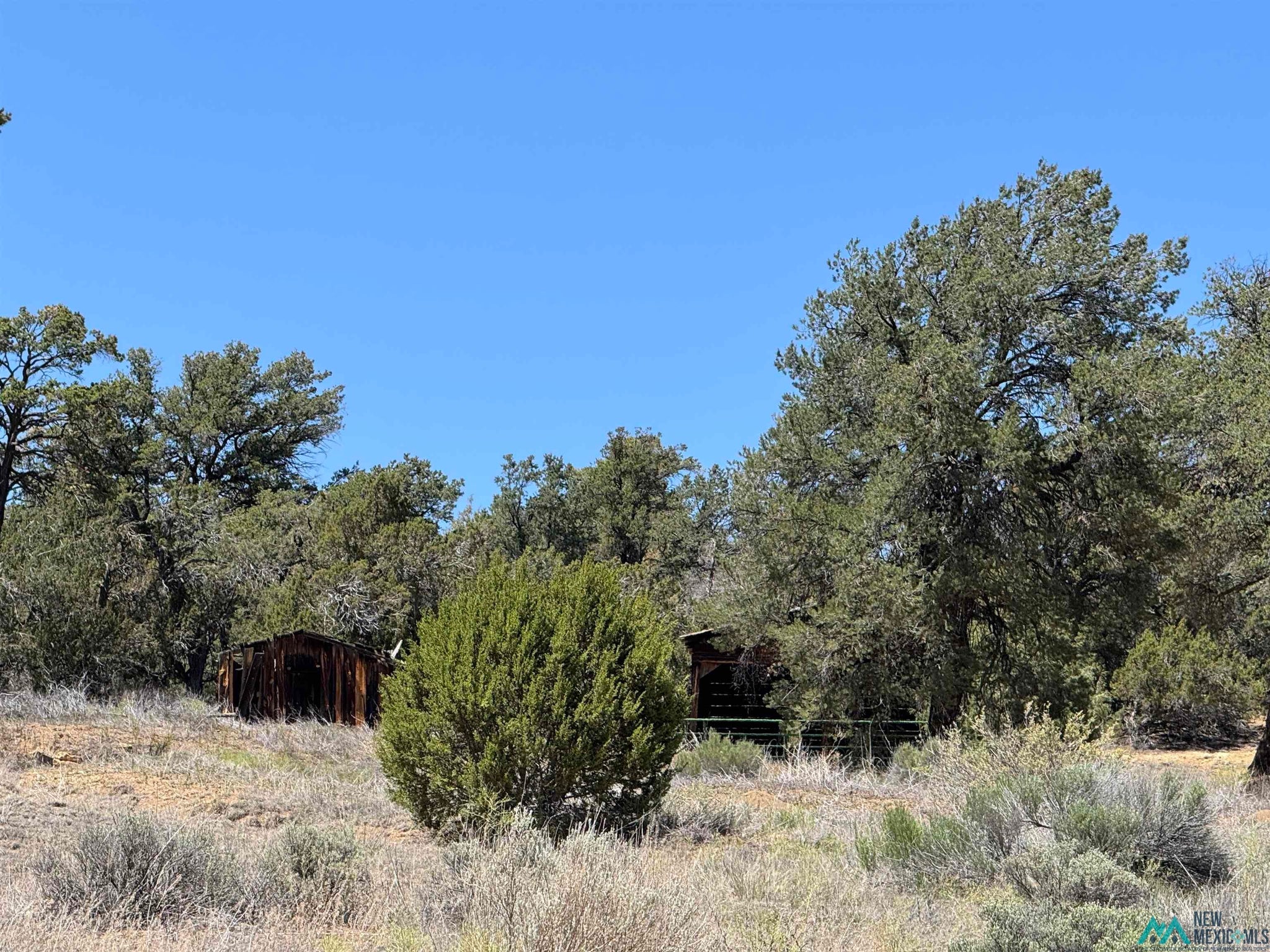 62 Old Wl Road Ramah, NM 87357 - Photo 9 of 16 Gallery Image 9