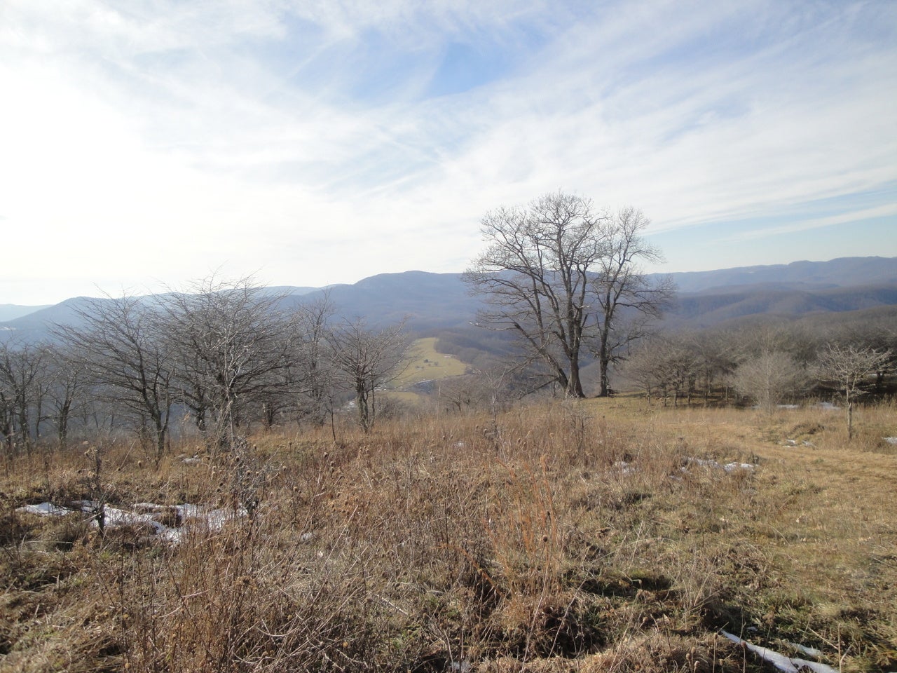 Ramsey Rd Valley Valley Head, WV 26294 - Photo 26 of 33 View 2