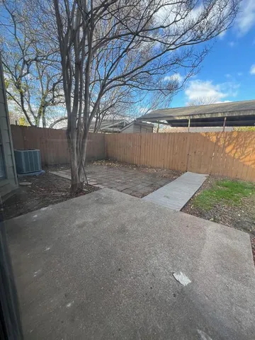 a view of backyard with tree