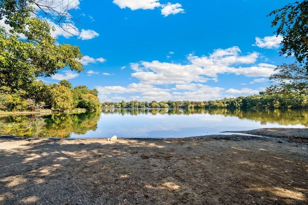 8 Lakewood Road Newton, MA 02461 - Photo 31 of 38 Gallery Image 31
