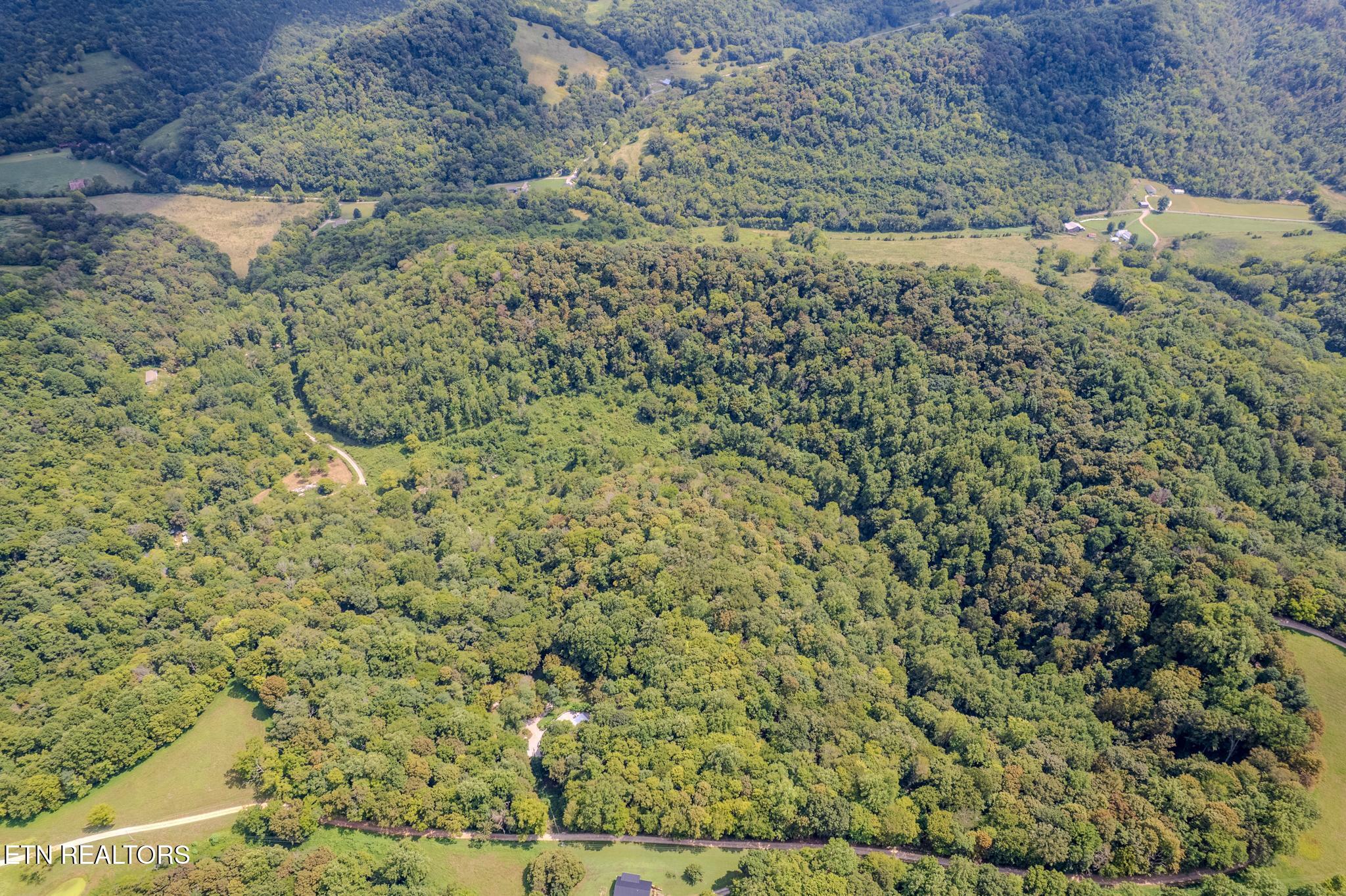 53.19-ac Watts Hollow Road Buffalo Valley, TN 38548 - Photo 11 of 19 Watts Hollow Rd-07.