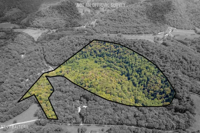 $374,900 | 53.19-ac Watts Hollow Road, Buffalo Valley, TN 38548