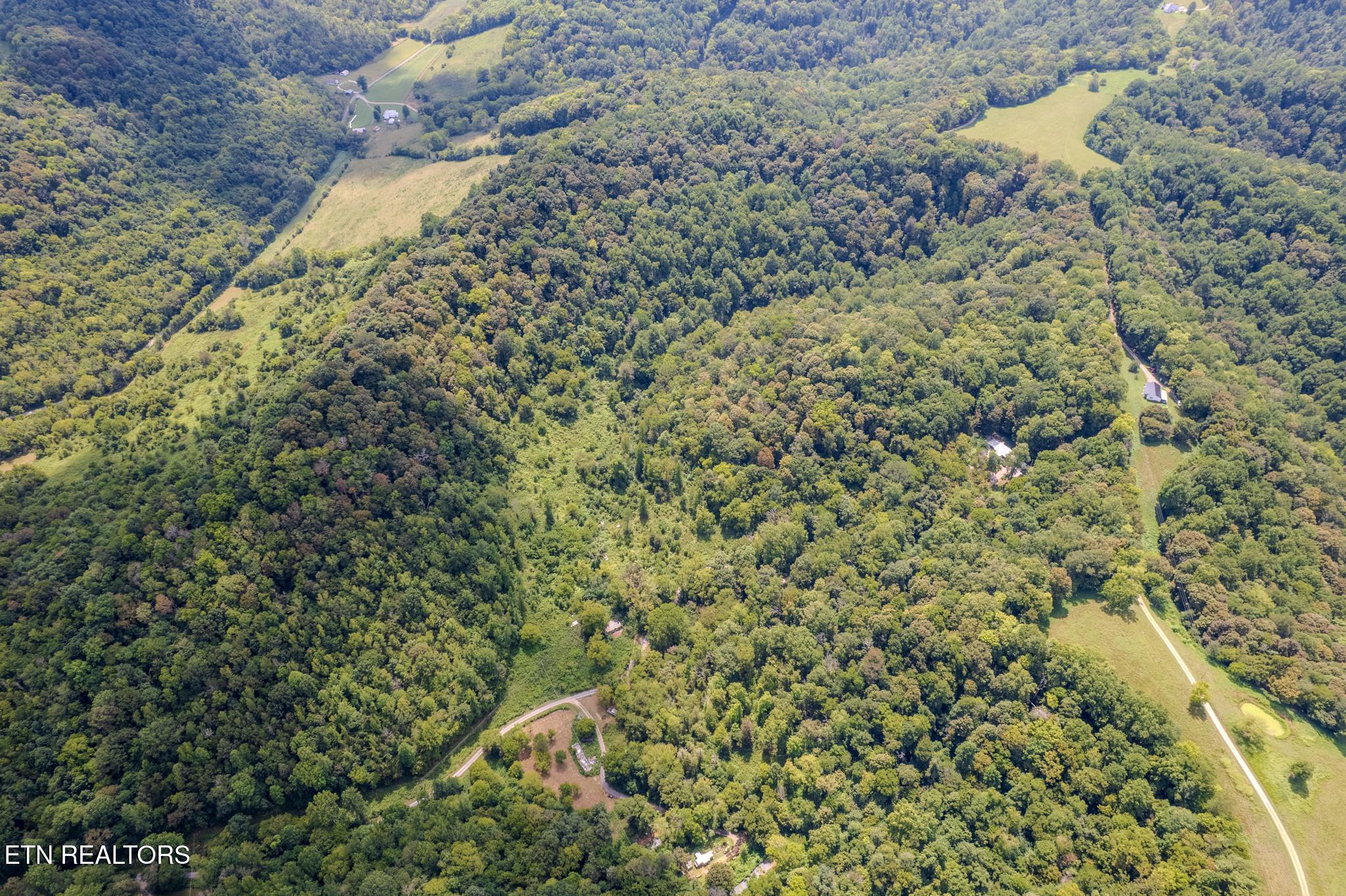 53.19-ac Watts Hollow Road Buffalo Valley, TN 38548 - Photo 13 of 19 Watts Hollow Rd-08.