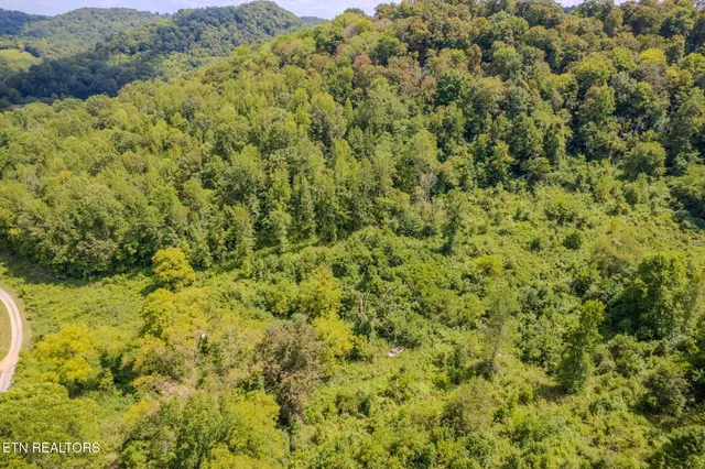 $374,900 | 53.19-ac Watts Hollow Road, Buffalo Valley, TN 38548