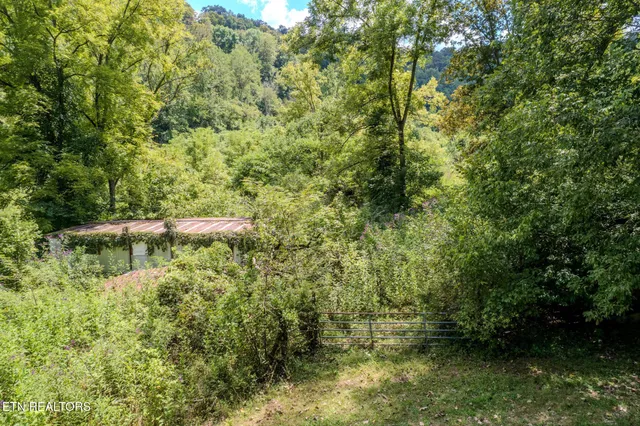 $374,900 | 53.19-ac Watts Hollow Road, Buffalo Valley, TN 38548