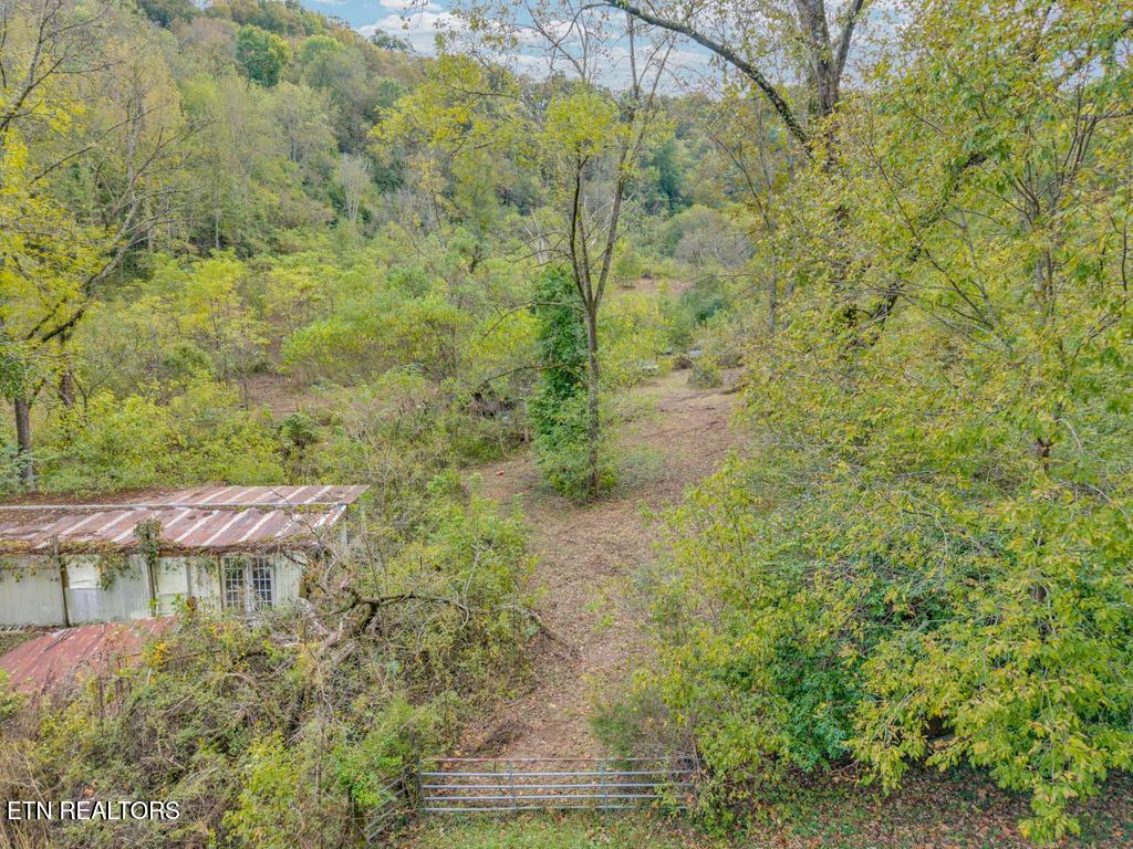 53.19-ac Watts Hollow Road Buffalo Valley, TN 38548 - Photo 19 of 19 Watts Hollow-6