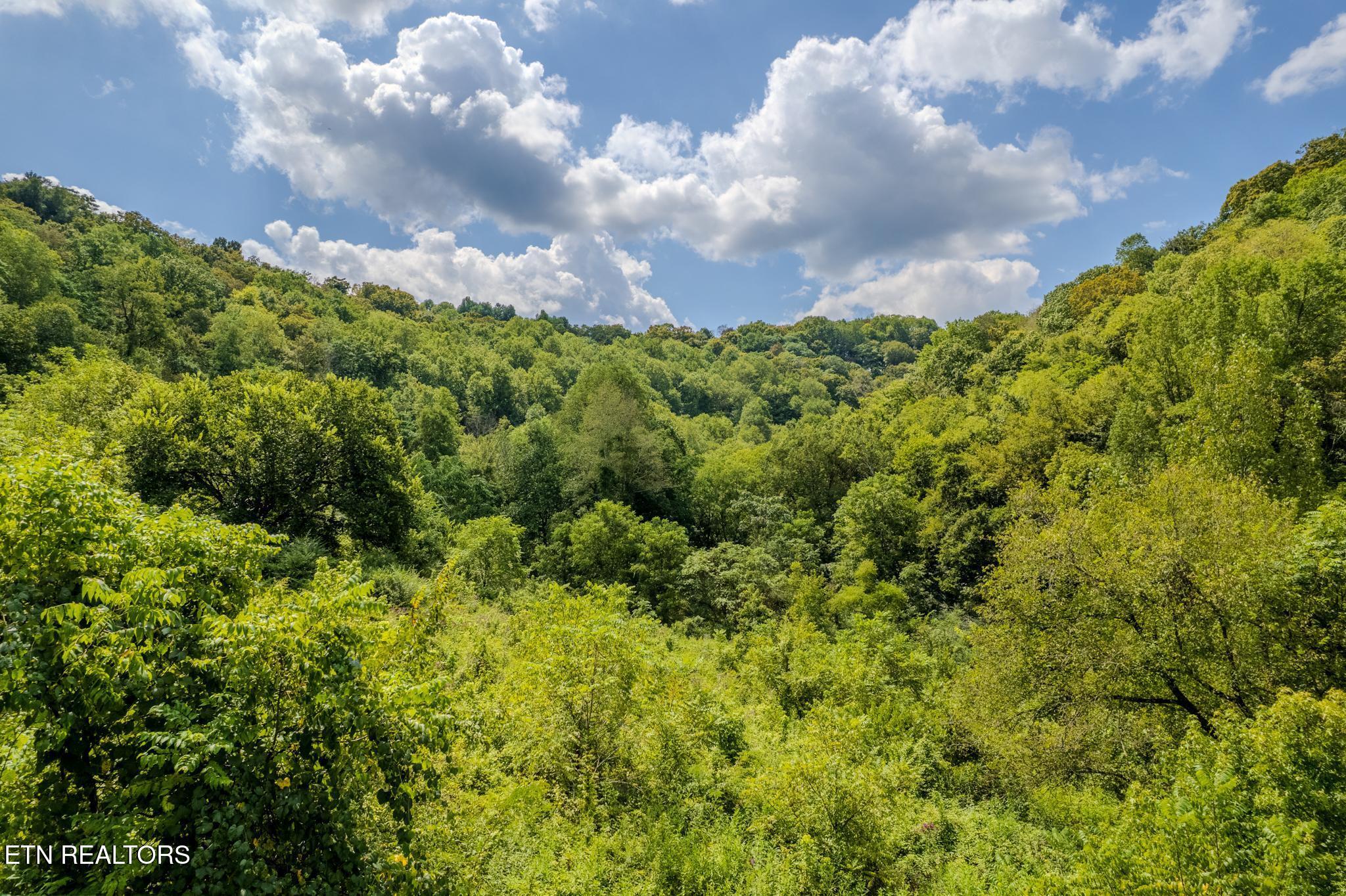 53.19-ac Watts Hollow Road Buffalo Valley, TN 38548 - Photo 5 of 19 Watts Hollow Rd-01.